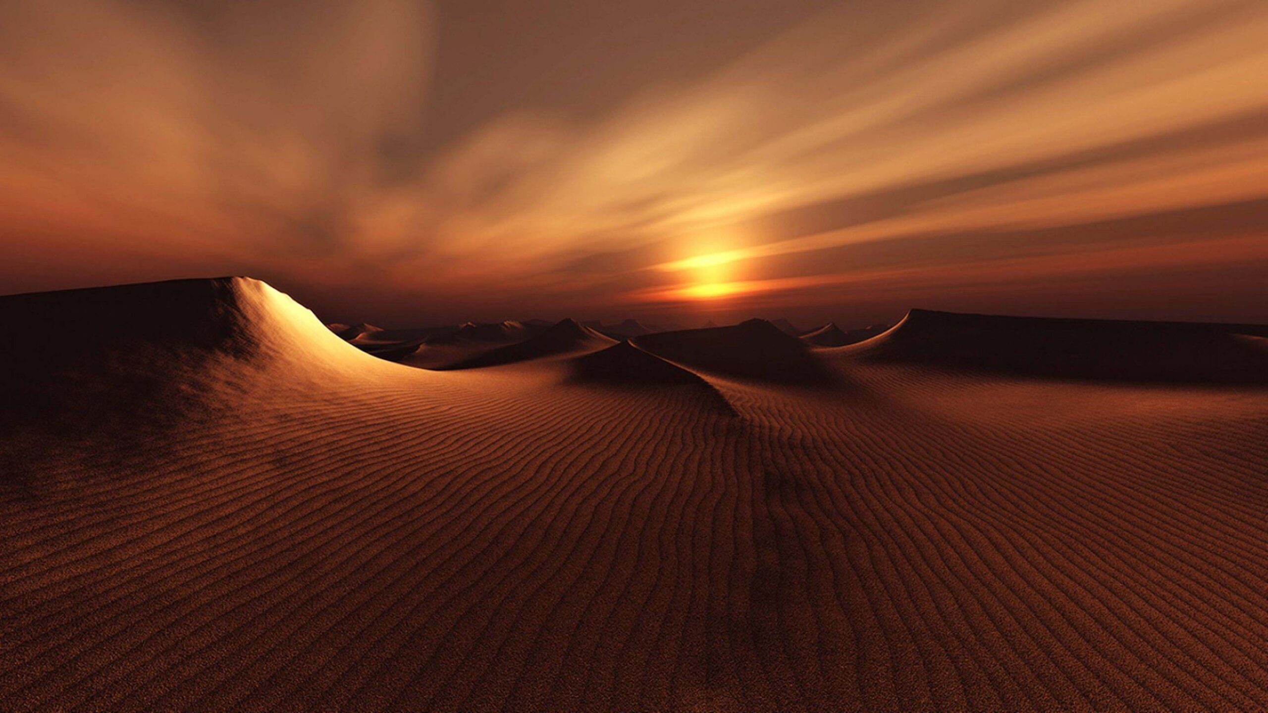 In CUBE, A new day means new beauty.