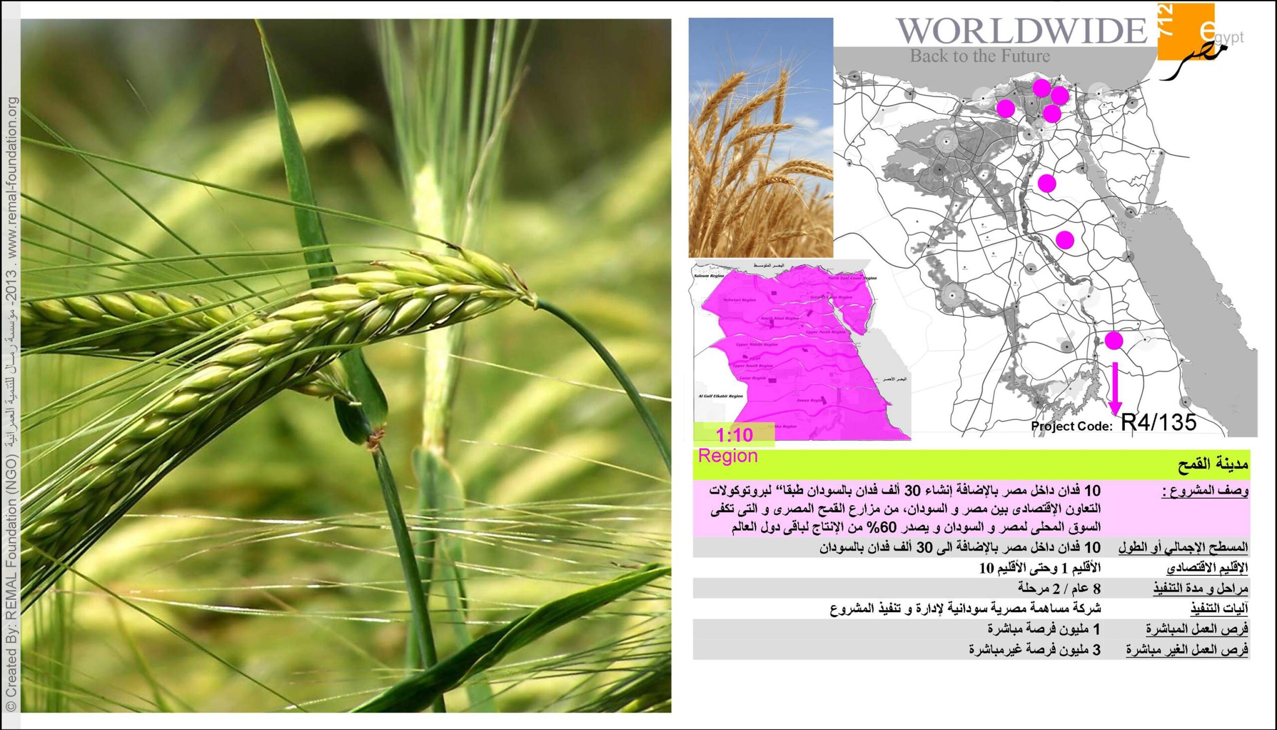 EGYPT 712 - Visual 5